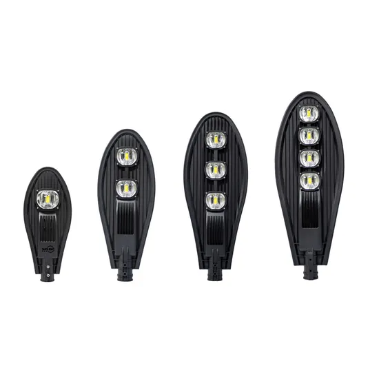 20 Years Warranty 100W