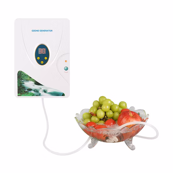 Home Kitchen Appliance Digital Ozone Generator for Air Water Purifier