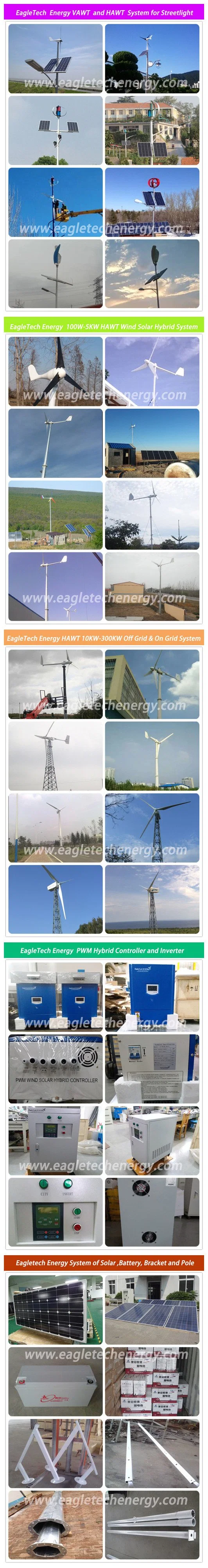 3kw Home Use Wind Turbine / Wind Power Generator System (3000W)